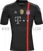 Bayern_M_nchen_2014_15_Third_Kit.jpg